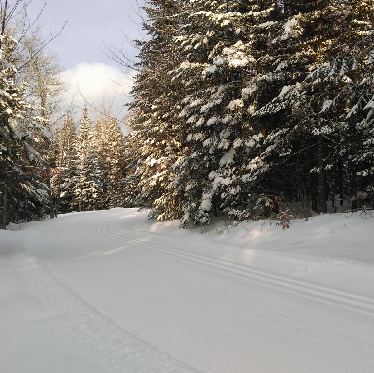 A wide ski trail with a section for skating and a groomed track.