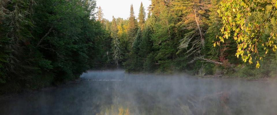 River in the woods with mist coming off the water