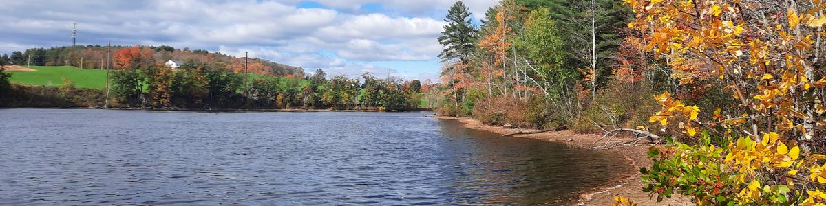 Fall colors along a lakeshore