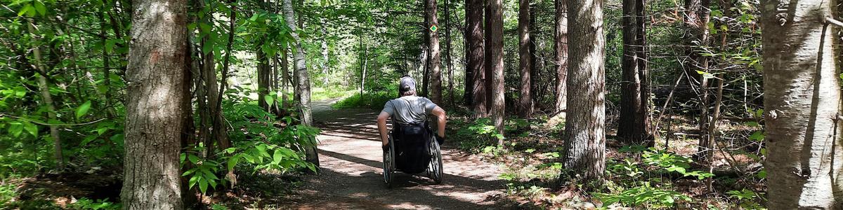 A man using a wheelchair on a forested trail