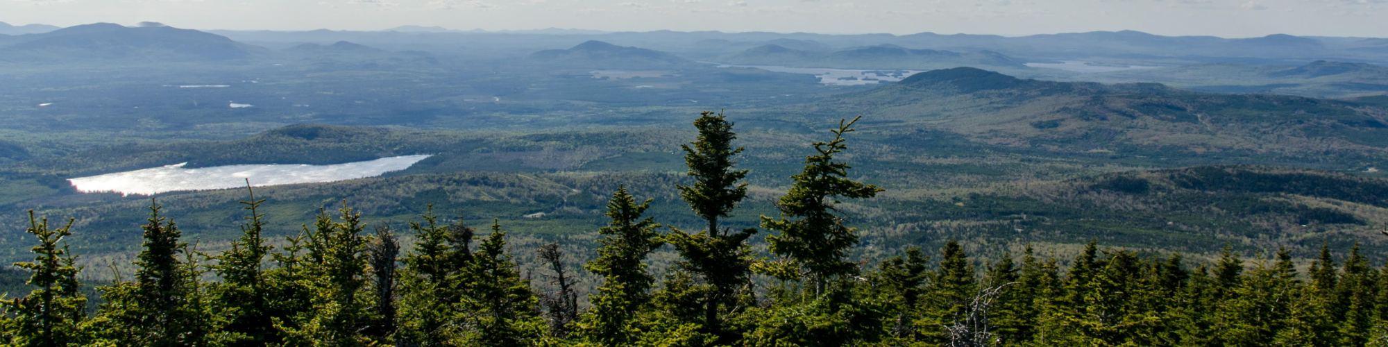 Above the Trees - 5 Maine Fire Tower Hikes