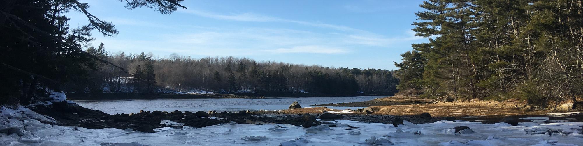 Behind the Bow Saw Frenchman Bay Conservancy