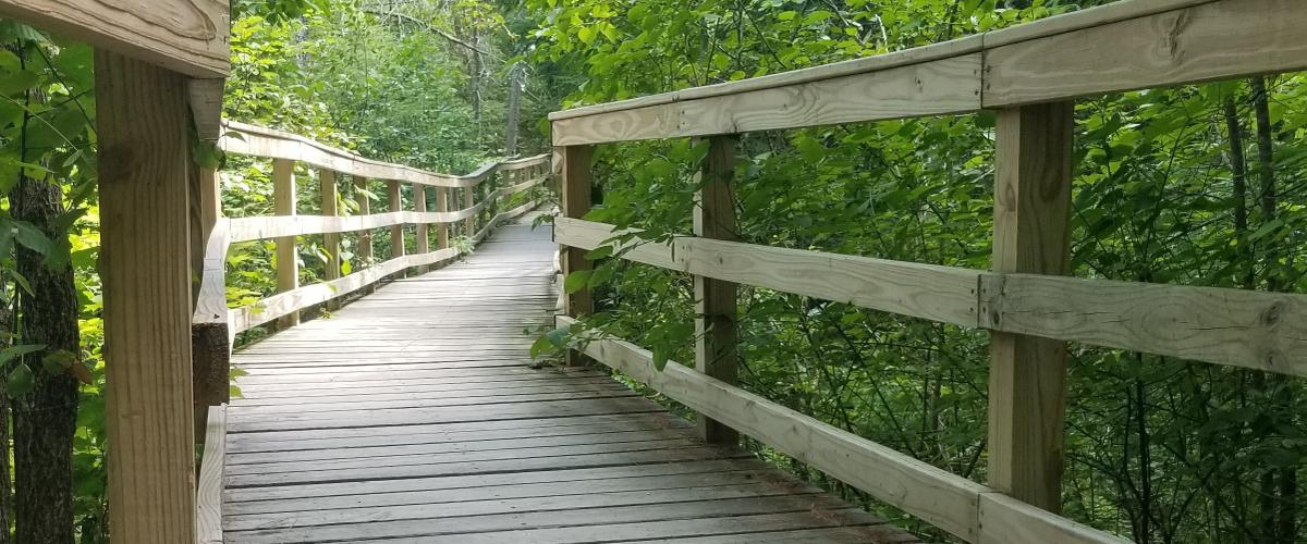 Enock's Adventures Hawkes & Frazier Preserves