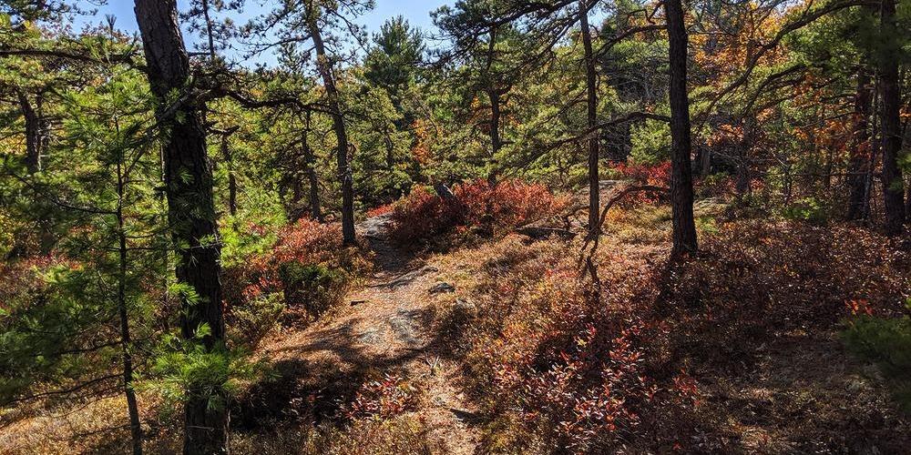 Higgins Mountain in fall, Photo credit: Michael Hanson