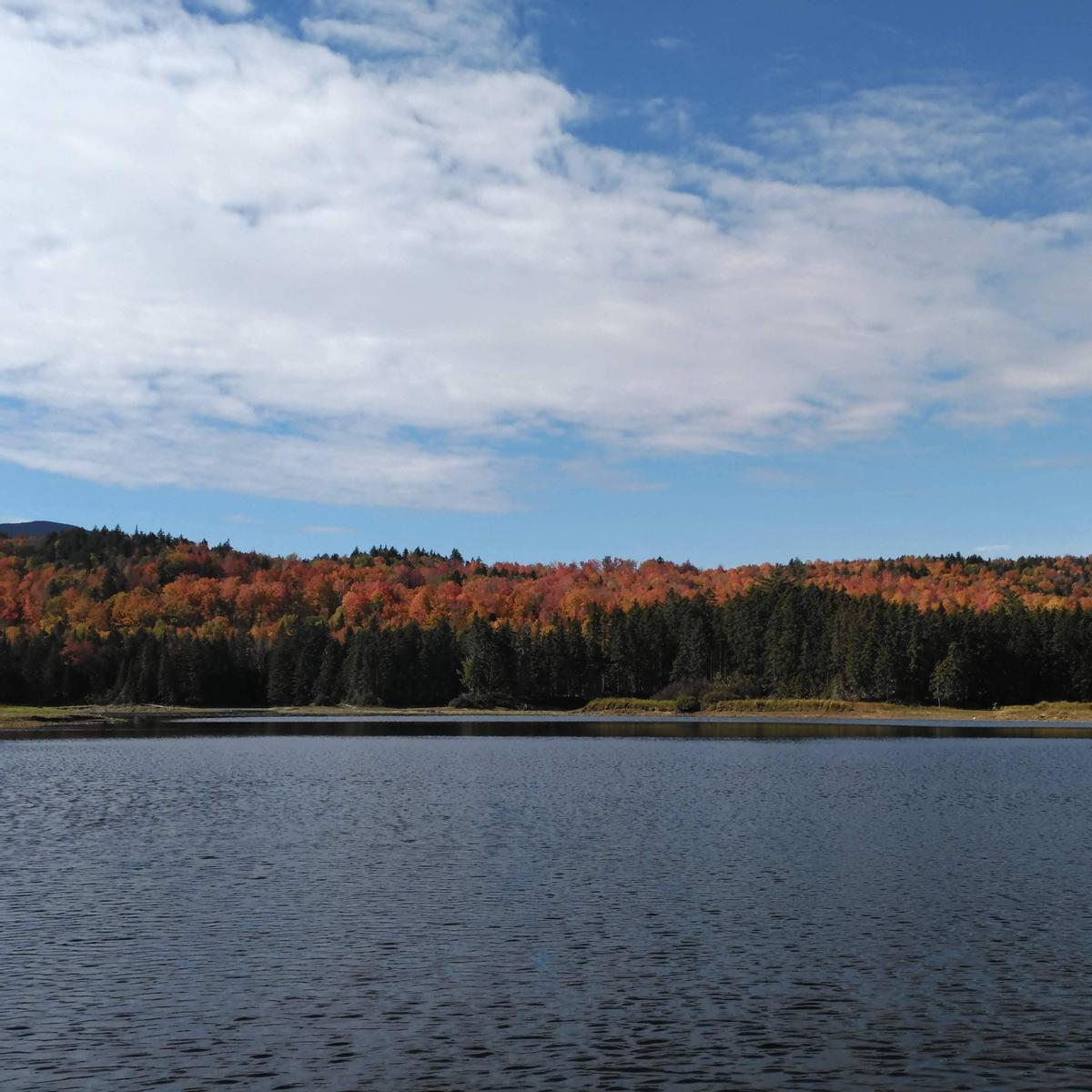 Breeze makes a slight riffle on a relatively calm lake