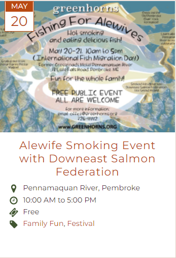 Alewife Smoking Event with Downeast Salmon Federation link