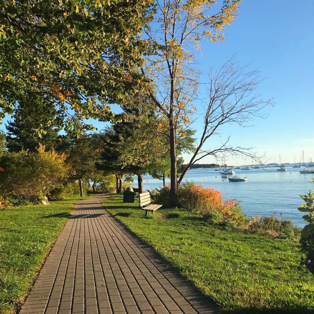 A trail paved with bricks goes by a bay with ships