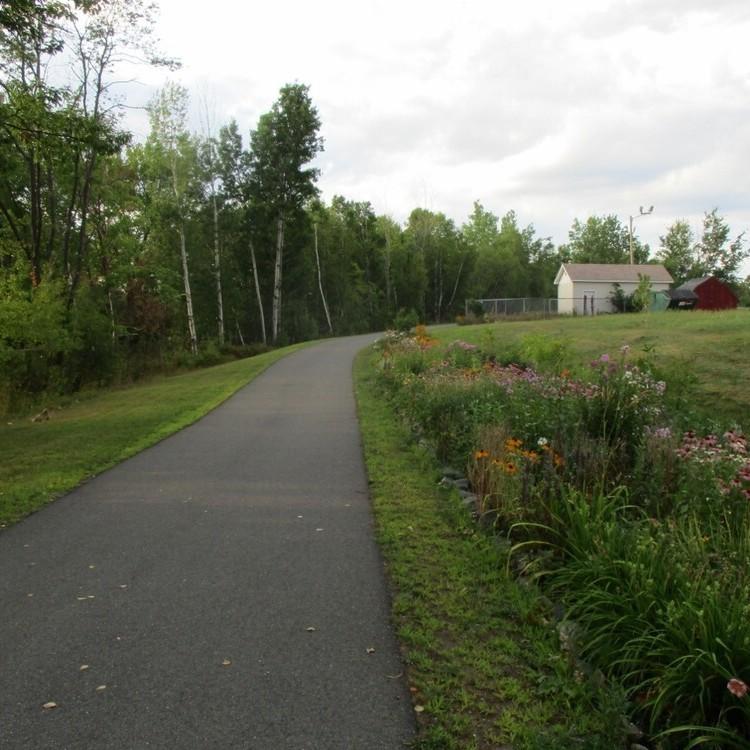 A paved trail passes by flowers