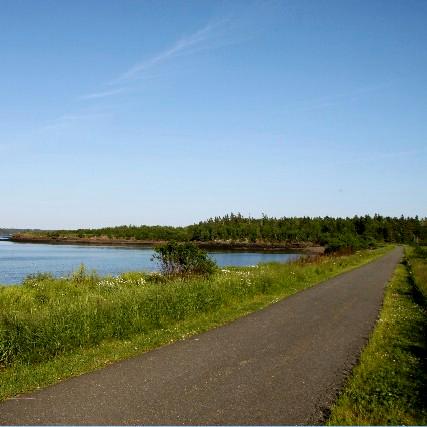 A flat, paved trail goes by a calm bay