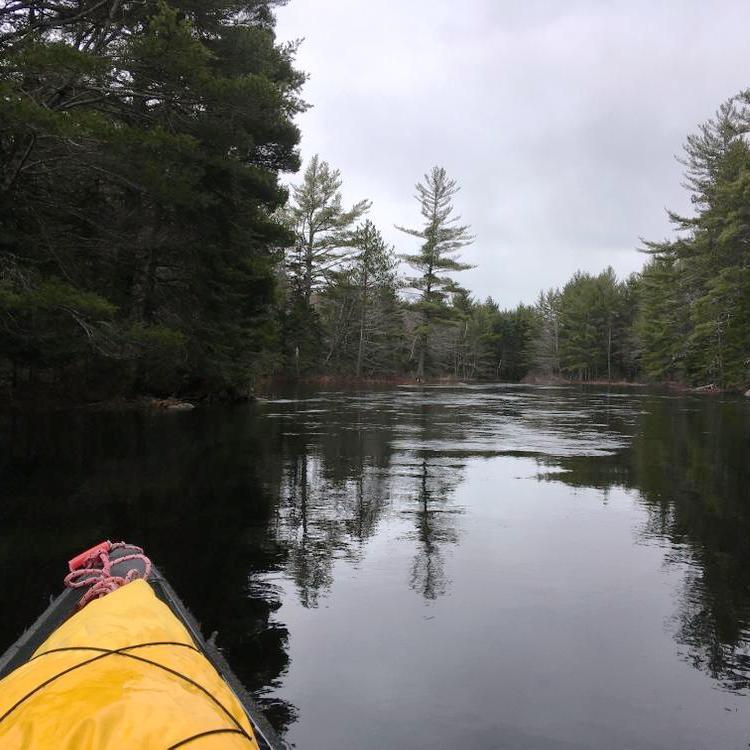 Riffles on the water surface indicate some current on an otherwise calm river