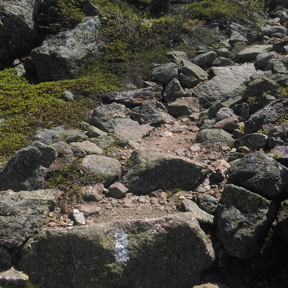A trail marked with a white blaze on rock is made up of a mix of rocks and sand.