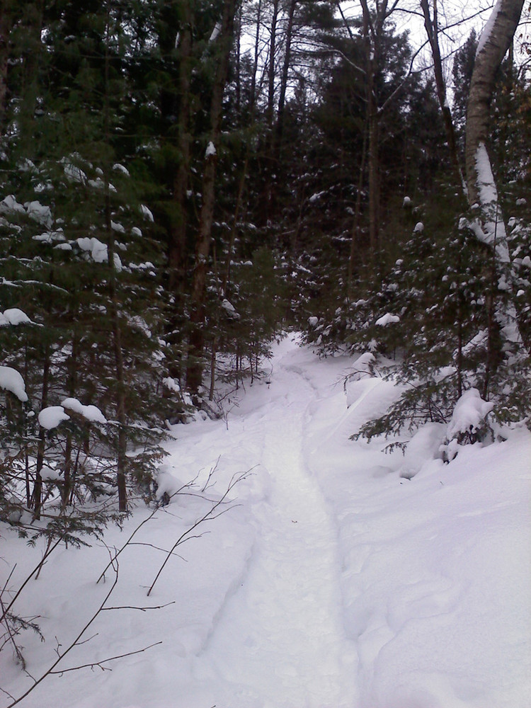 Snowshoe only trails (Credit: Maine Bureau of Parks and Lands)
