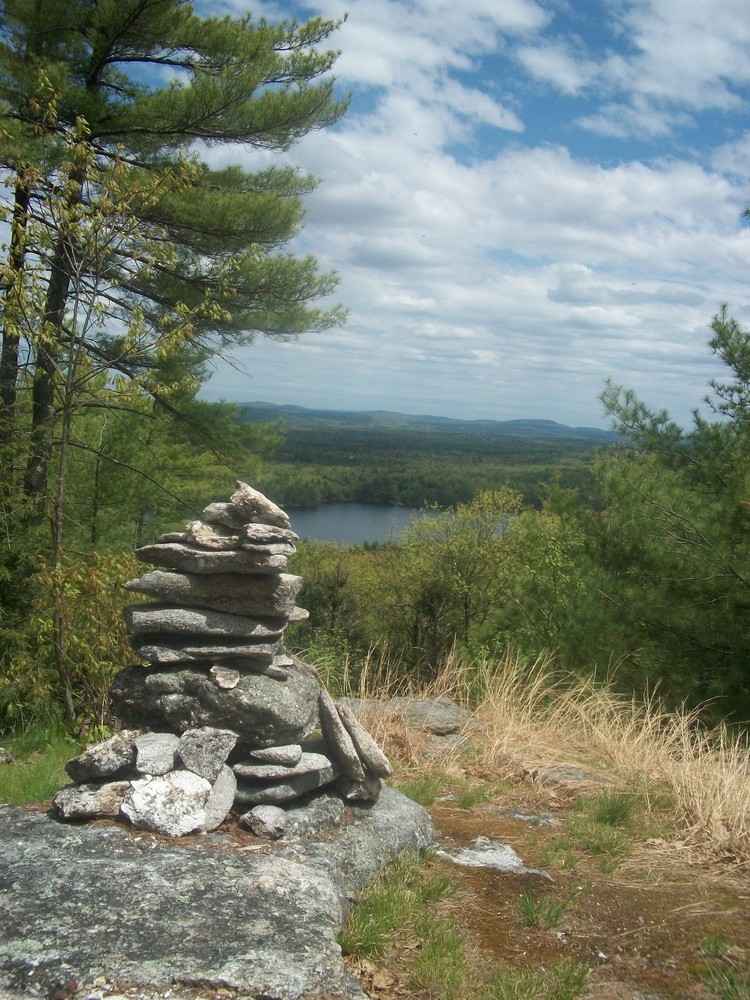 view from Foster Pond Lookout