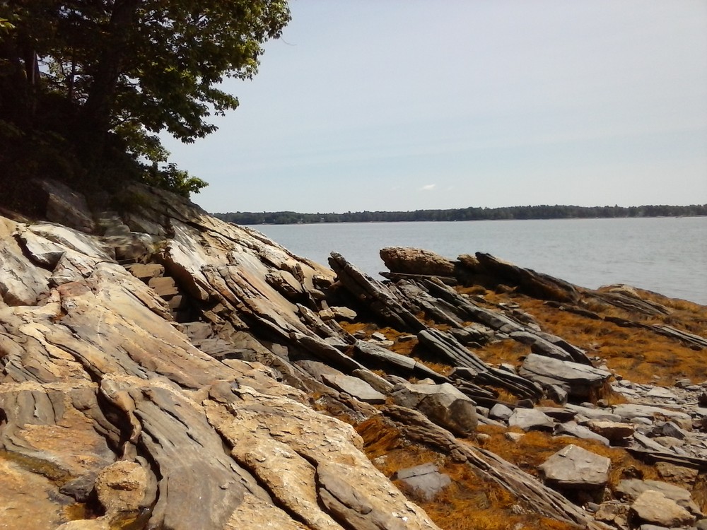 View from the rocky shore. (Credit: Chris Nason)