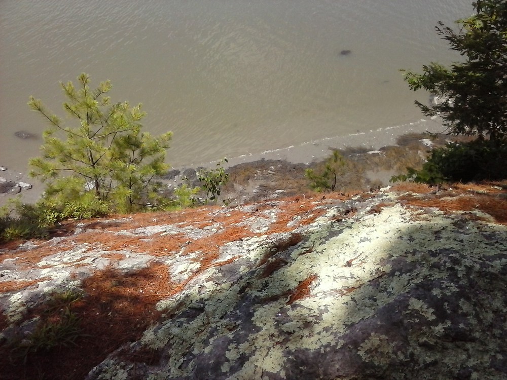 Overlooking the cliffs on the  Harraseeket Trail. (Credit: Chris Nason)