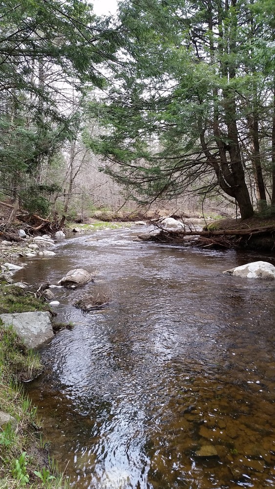 Trout Brook Preserve Trails Maine Trail Finder