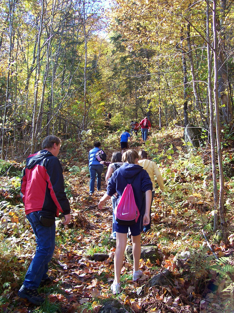 Aroostook State Park Hiking Trails Maine Trail Finder