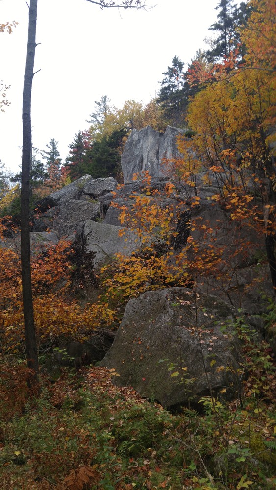 Rocky outcropping along the Rock Castle Loop (Credit: Gabe Perkins)