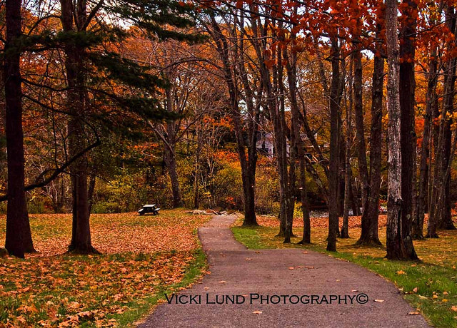 Park Path (Credit: Vicki Lund Photography)