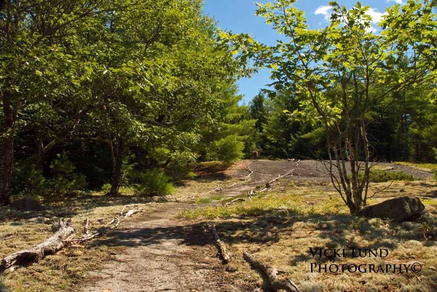 Trail leading to the summit of Pisgah Hill (Credit: Vicki Lund Photography)