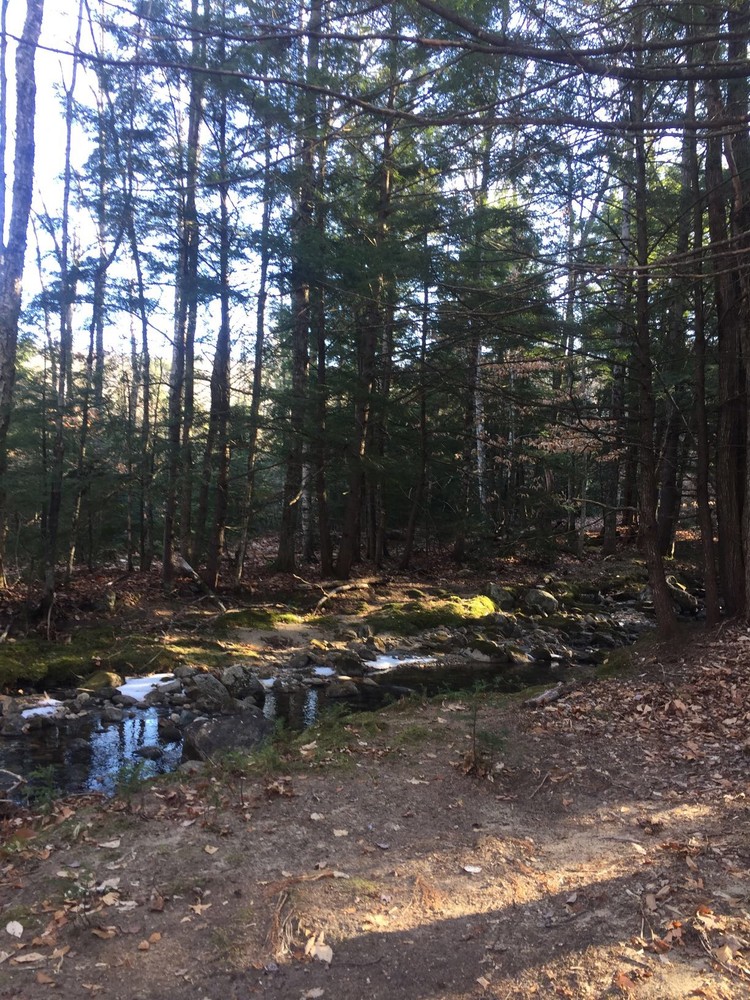 Mill Brook near the beginning of the trail (Credit: Mahoosuc Pathways)