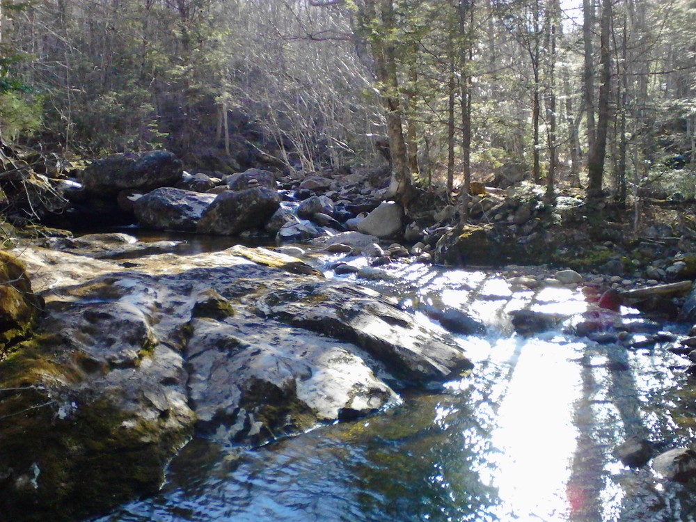 Just a beautiful bend in the stream, a great spot to stop and rest since the trail and water are so close, some nice rocks to sit on and trees to provide shade (Credit: Lisa C)