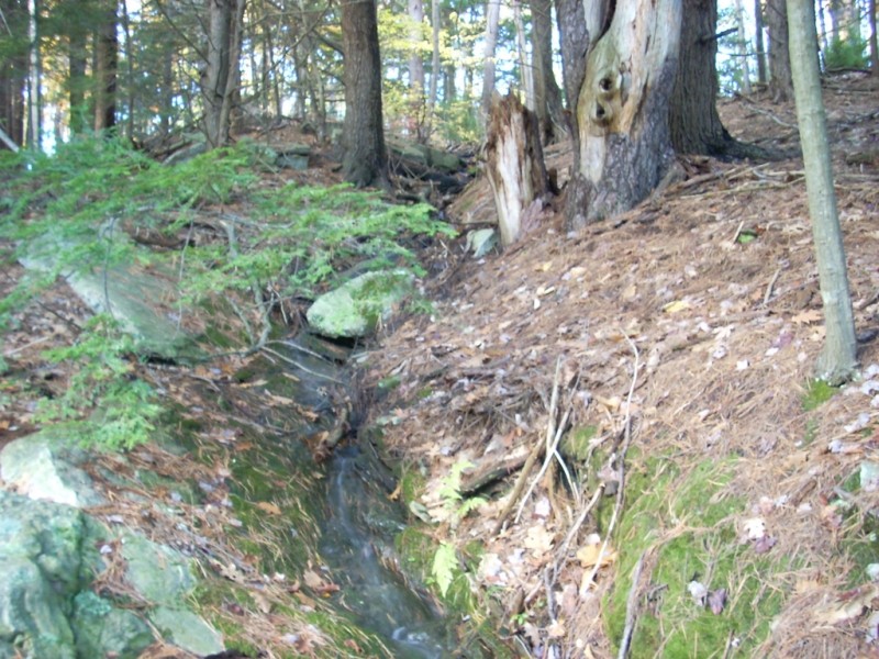 Presumpscot River Preserve and Oat Nuts Park Maine Trail Finder