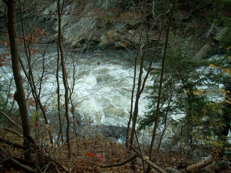 Presumpscot River Preserve and Oat Nuts Park Maine Trail Finder