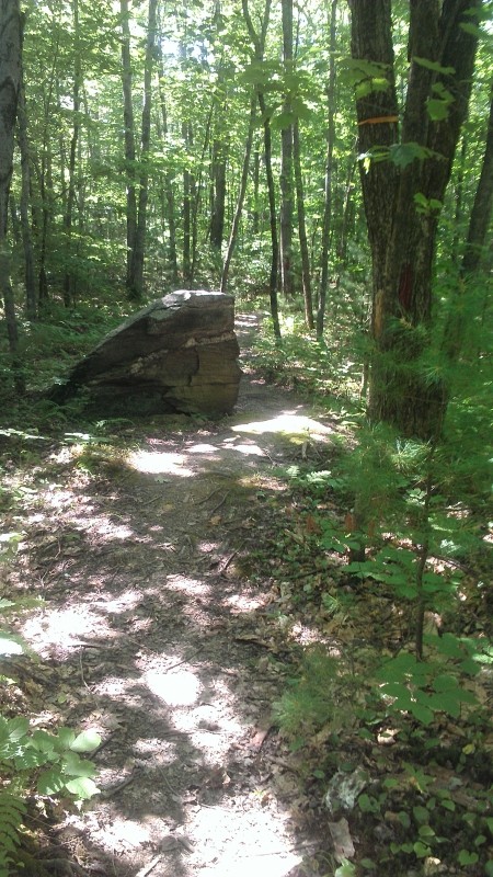 A boulder along the trail (Credit: Jean-Luc Theriault)