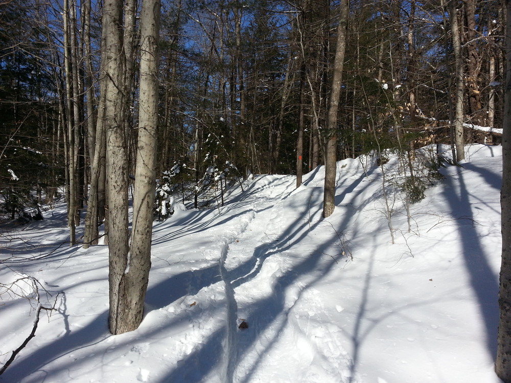 Bradbury Mountain State Park Hiking Trails Maine Trail Finder