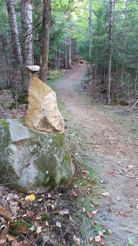 Makeshift cairn on the new Witt Swamp Extension (Credit: Western Foothills Land Trust)