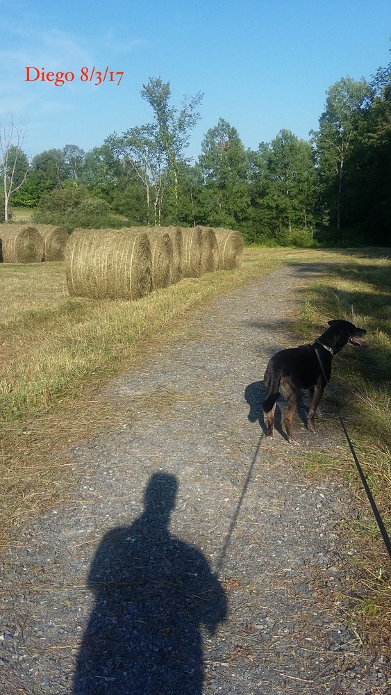 Readfield Fairgrounds Maine Trail Finder