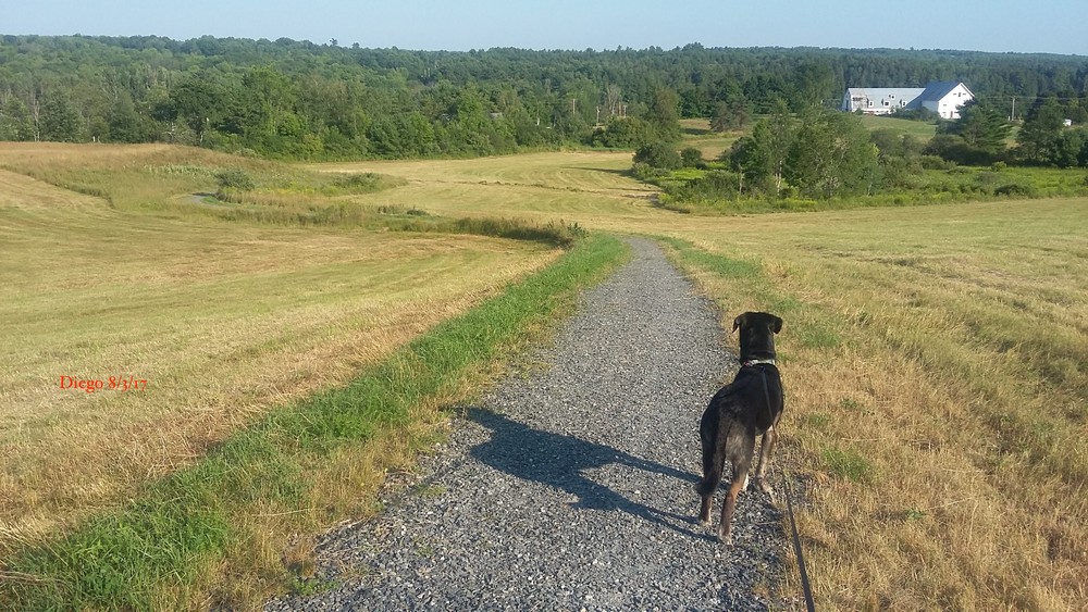 Readfield Fairgrounds Maine Trail Finder