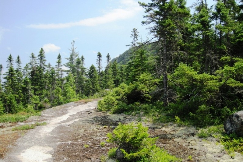 Nahmakanta Public Reserved Land - Turtle Ridge Loop Trail - Maine Trail ...