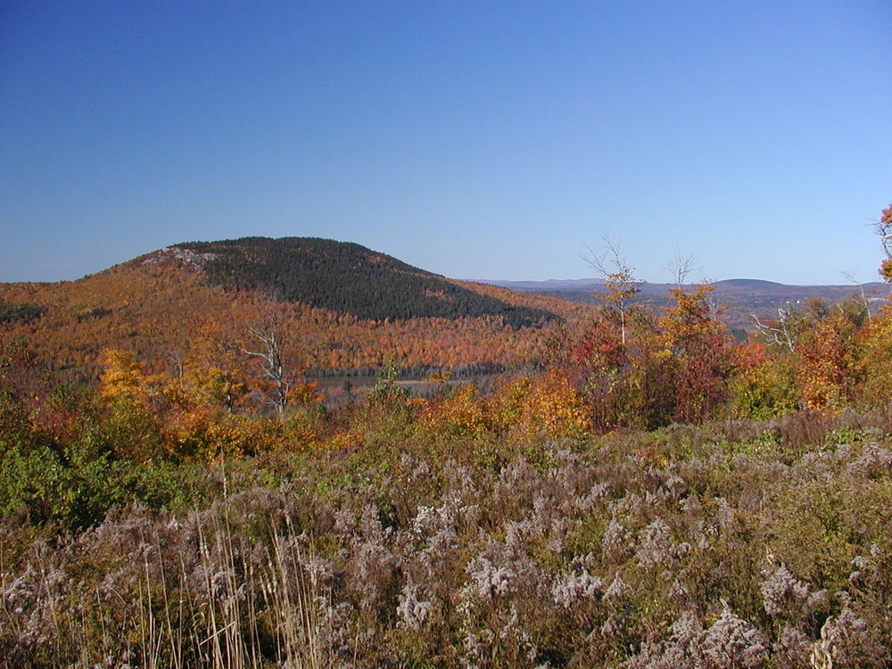 View from Mountain View Trail (Credit: Great Pond Mountain Conservation Trust)