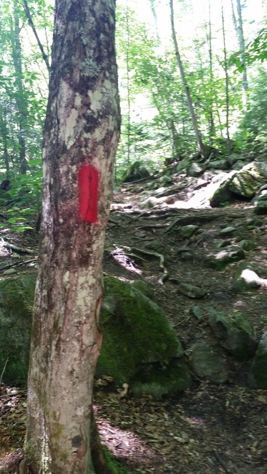 Red Blaze used on Angel Falls trail (Credit: jralbert21)