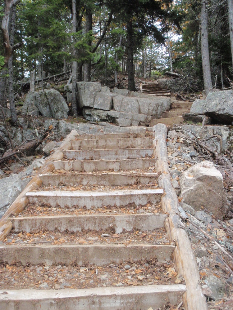 Flying Mountain Hiking Trail Acadia National Park - Flying Mountain Loop - Maine Trail Finder