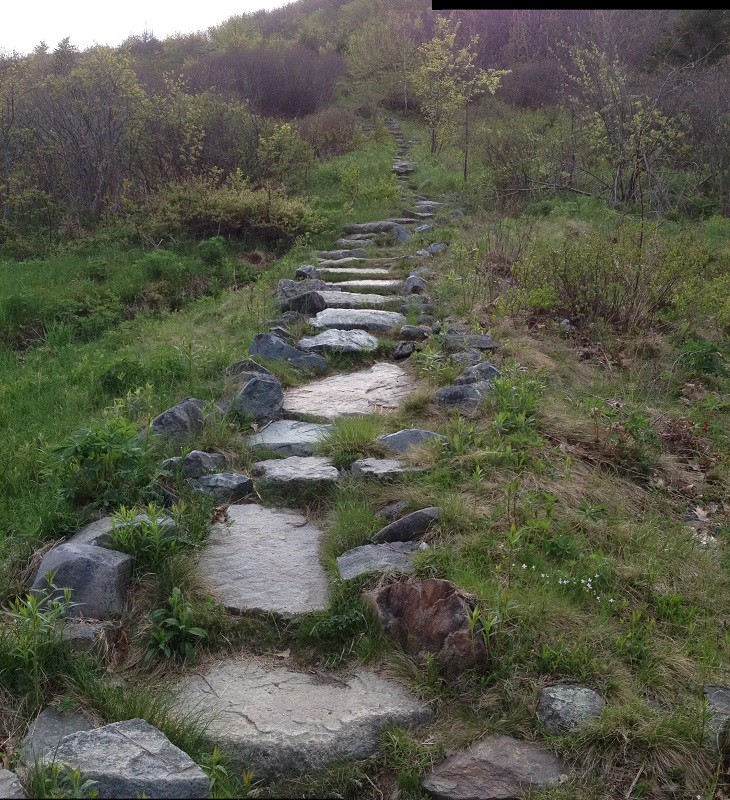 Stone stairs on Blue Hill Mountain (Credit: Blue Hill Heritage Trust)