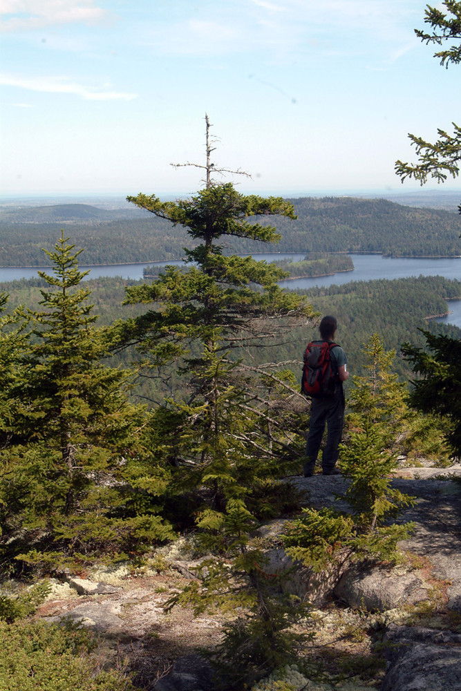 Big Chief Trail (Credit: Maine Bureau of Parks and Lands)