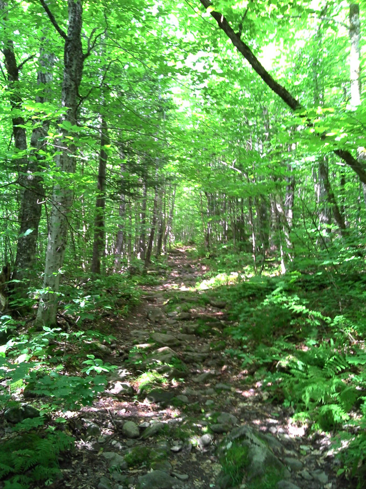 Lower Section of Trail (Credit: Maine Bureau of Parks and Lands)