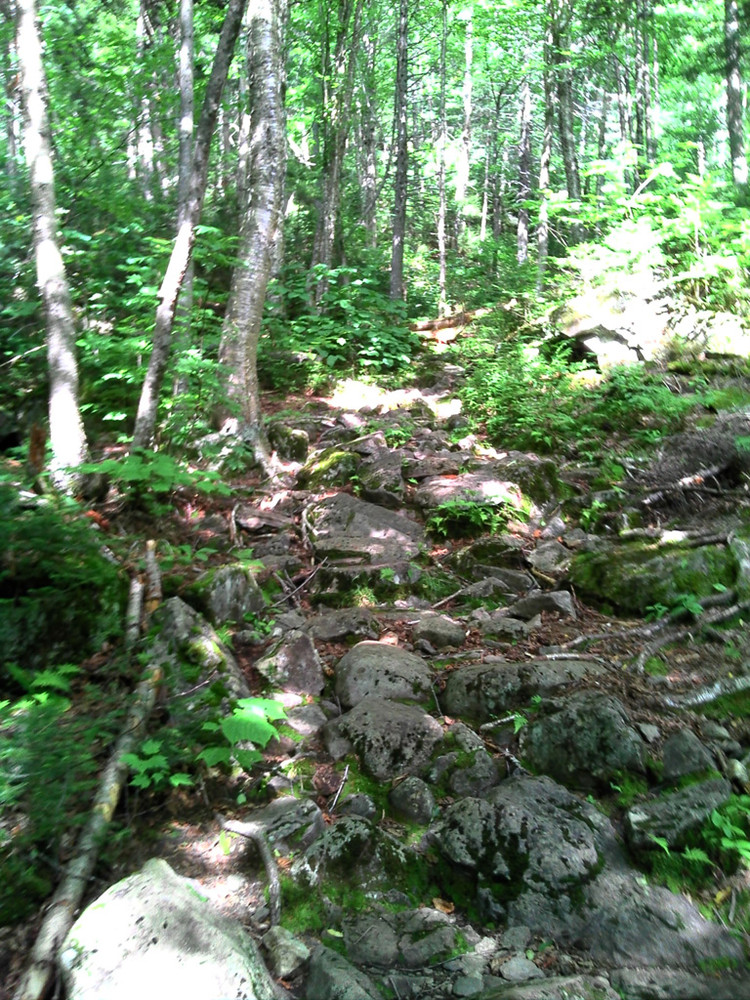 Rocky, Rough Path (Credit: Maine Bureau of Parks and Lands)