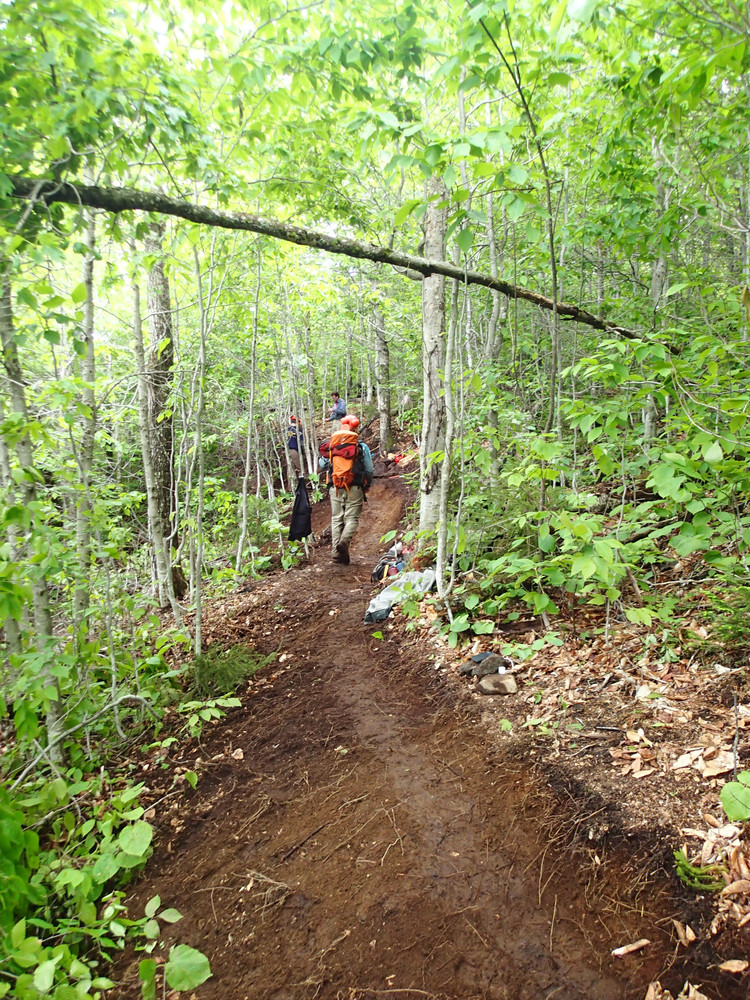 Blue Ridge Trail System - Maine Trail Finder