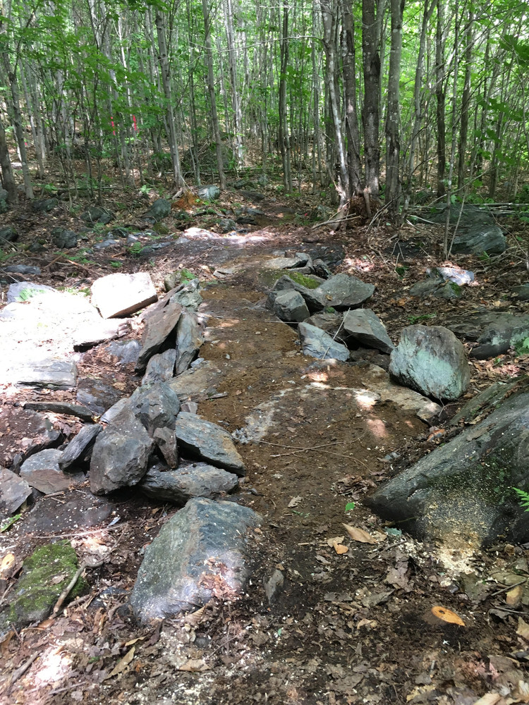 Blue Ridge Trail System - Maine Trail Finder