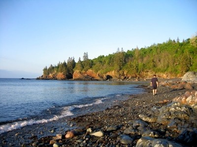 Bog Brook Cove (Credit: Maine Coast Heritage Trust)