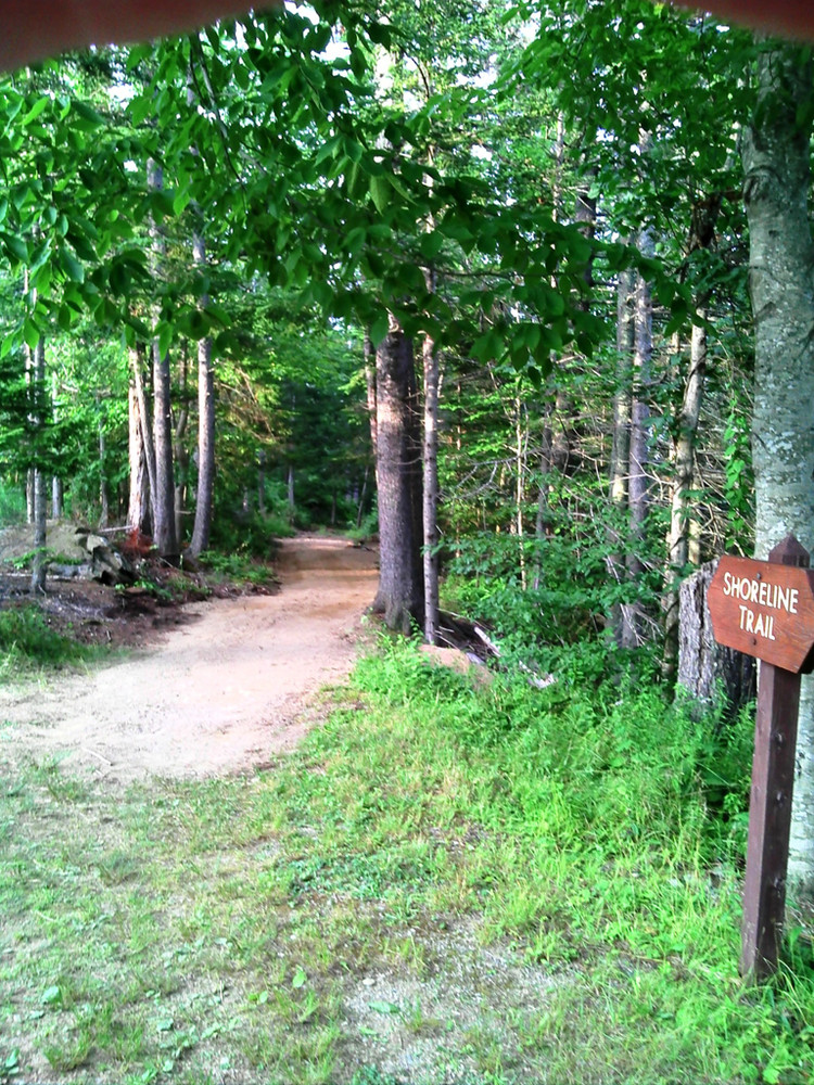 Camden Hills State Park - Shoreline Trail - Maine Trail Finder