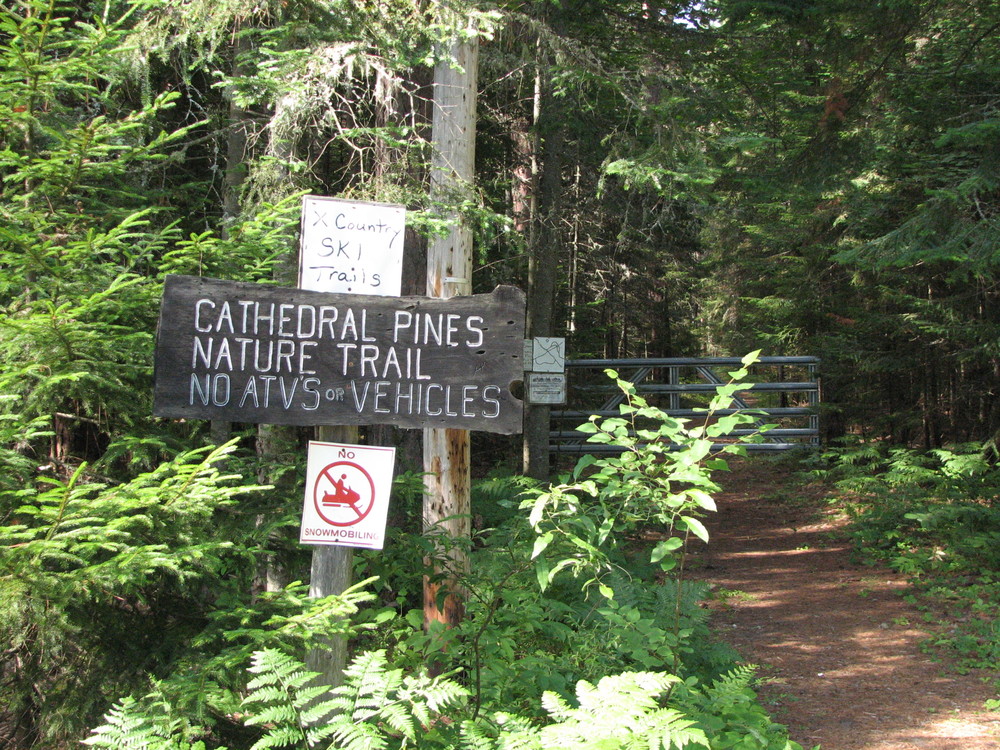 cathedral pines mountain bike trail