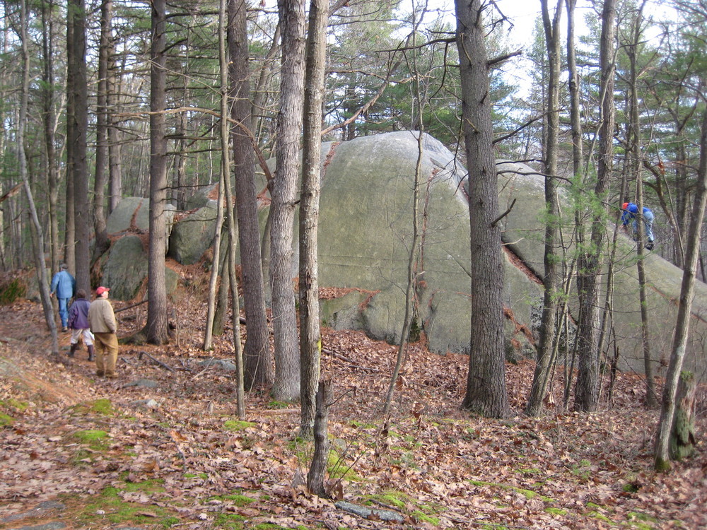 Glacial erratic in Clifford Park (Credit: Maine Coast Heritage Trust)