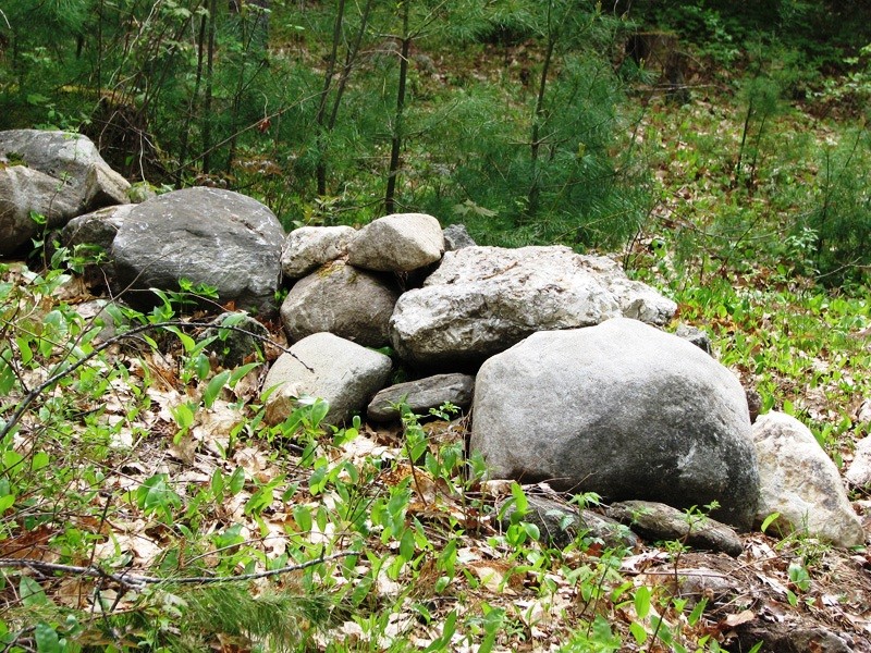 Stone Wall (Credit: Freeport Conservation Trust)