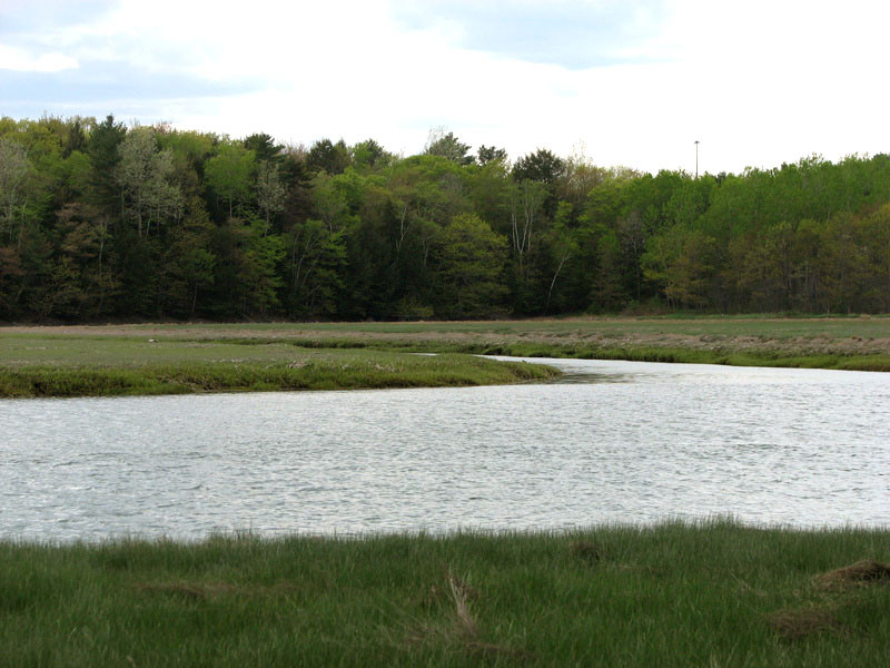 Cousins River (Credit: Freeport Conservation Trust)