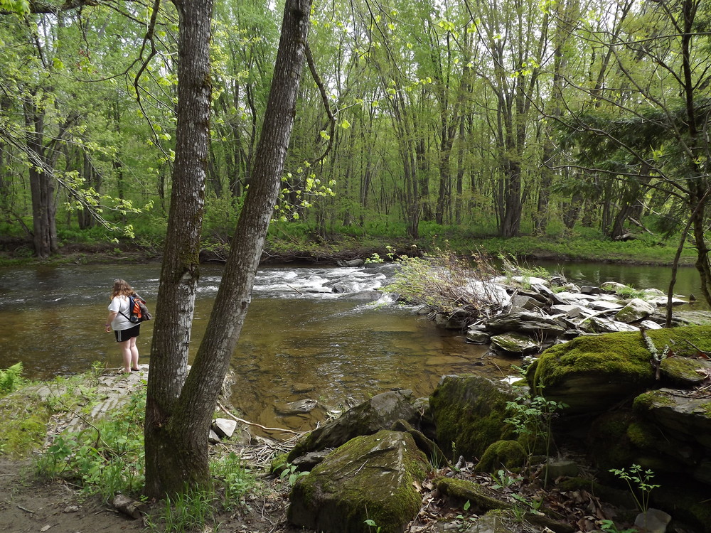 Unity College Forest Trails Maine Trail Finder